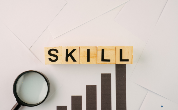 Qualification and experience of the manpower being supplied.